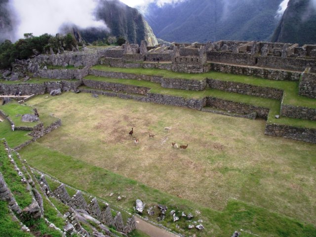 Macchu Picchu 020